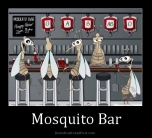 mosquito-bar
